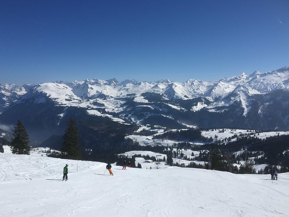 Cold downhill frost