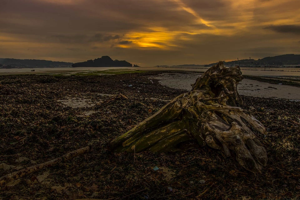 Backlight beach coast