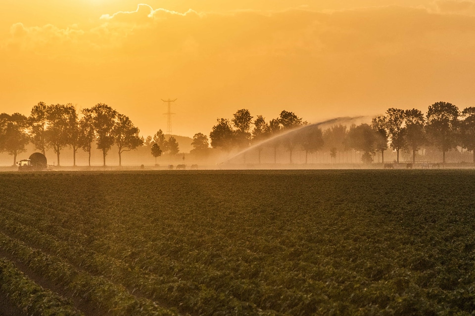 Agriculture backlight basin