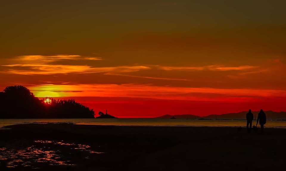 Backlight beach coast