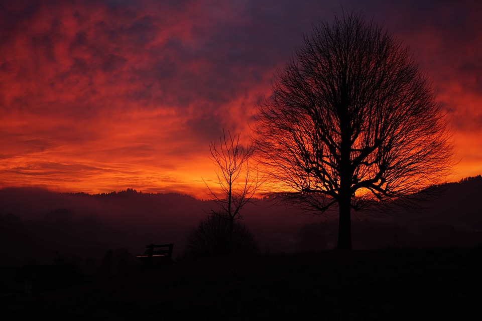 Backlight dawn dusk photo