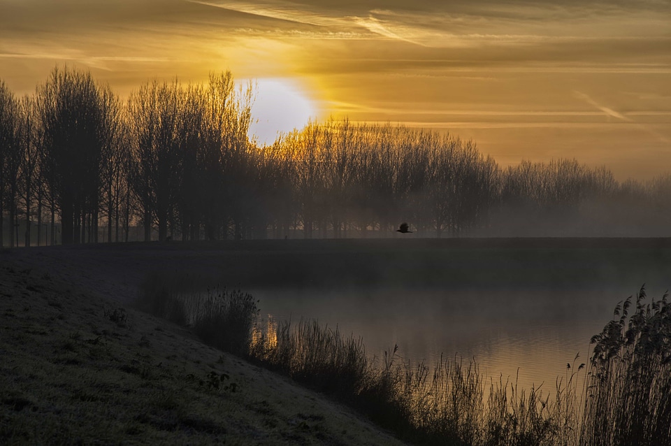 Backlight coast dawn