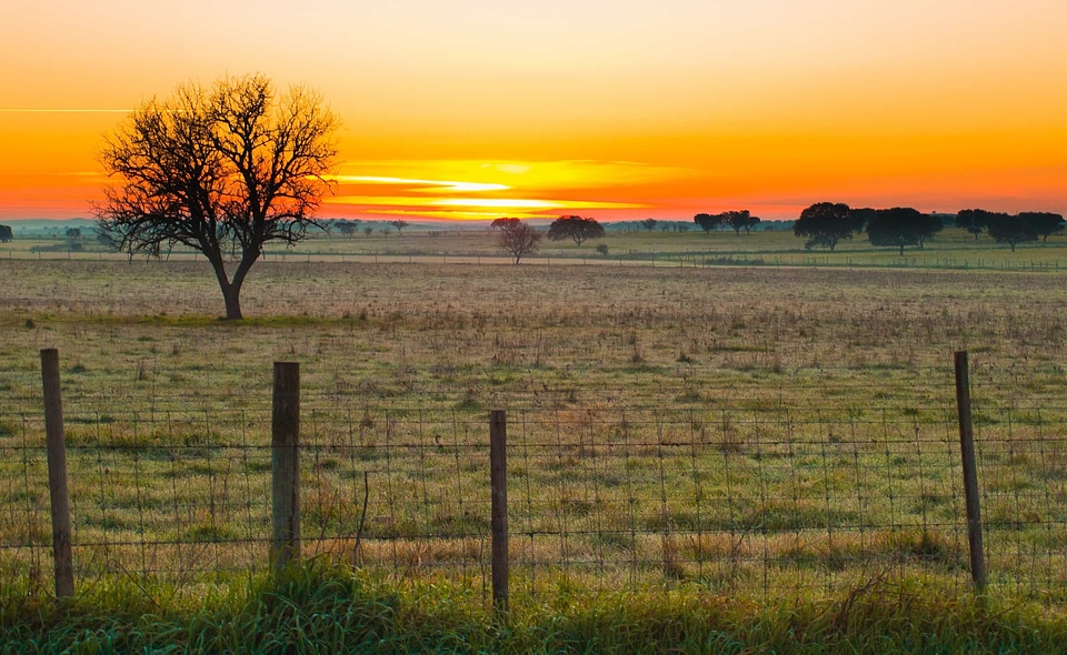 Agriculture backlight countryside
