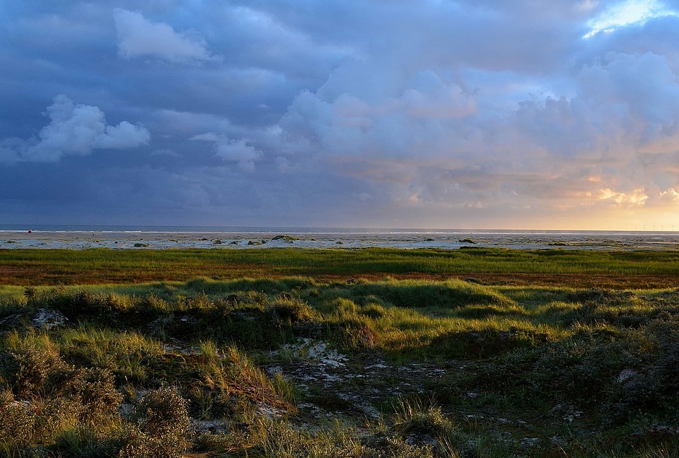 Atmosphere backlight dawn