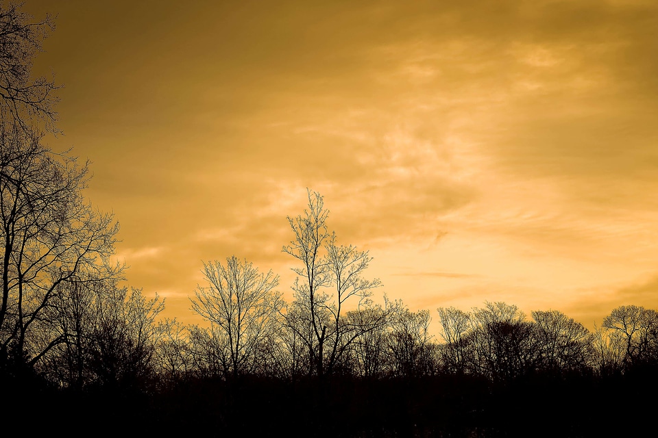 Atmosphere backlight dawn
