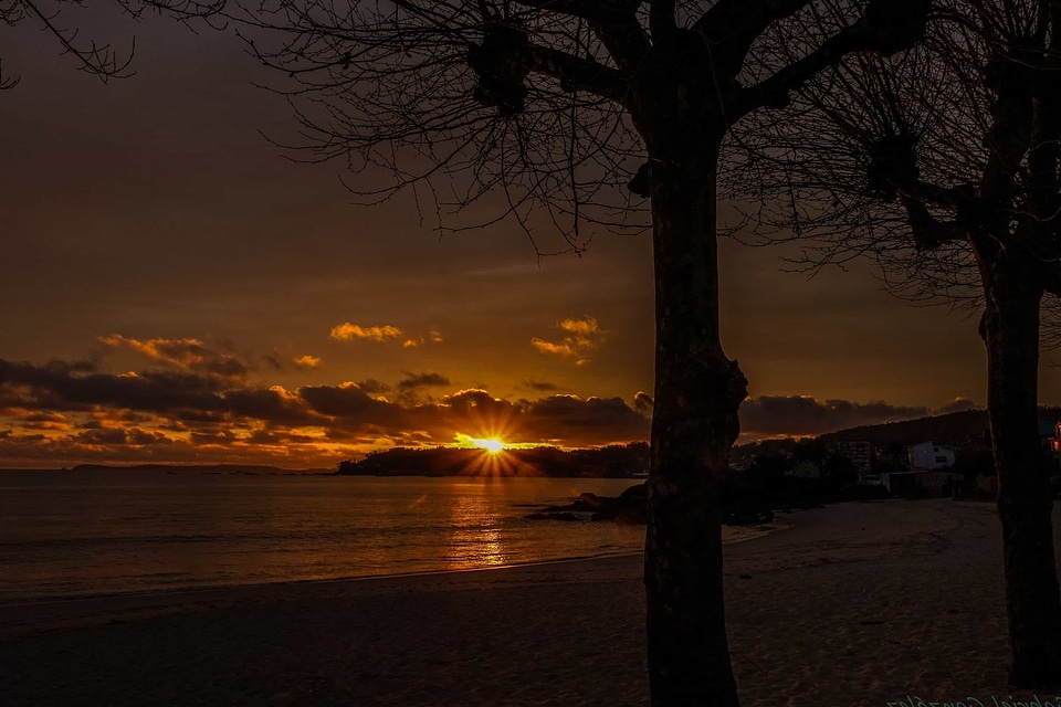 Backlight beach dark