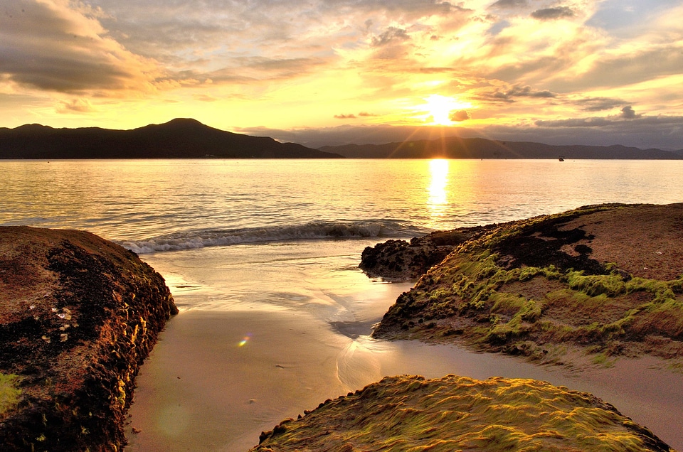 Backlight beach coast
