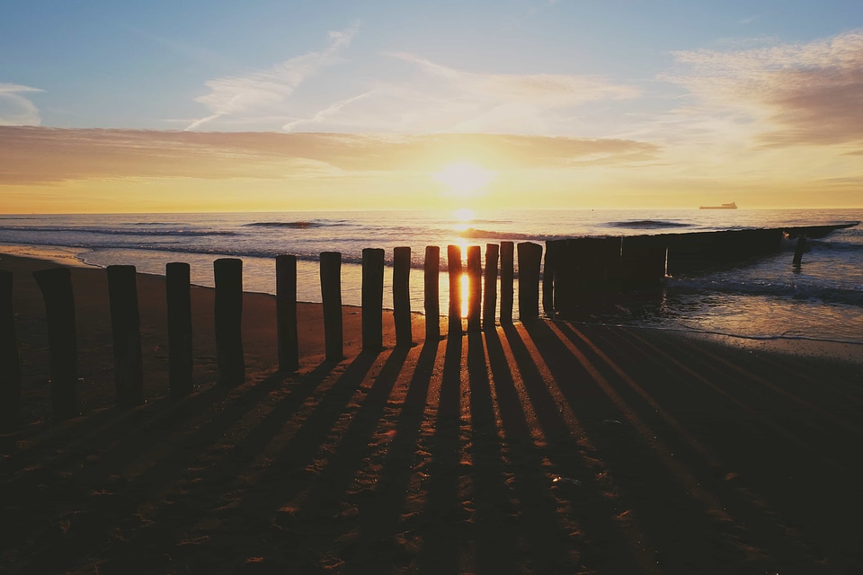 Backlight beach coast