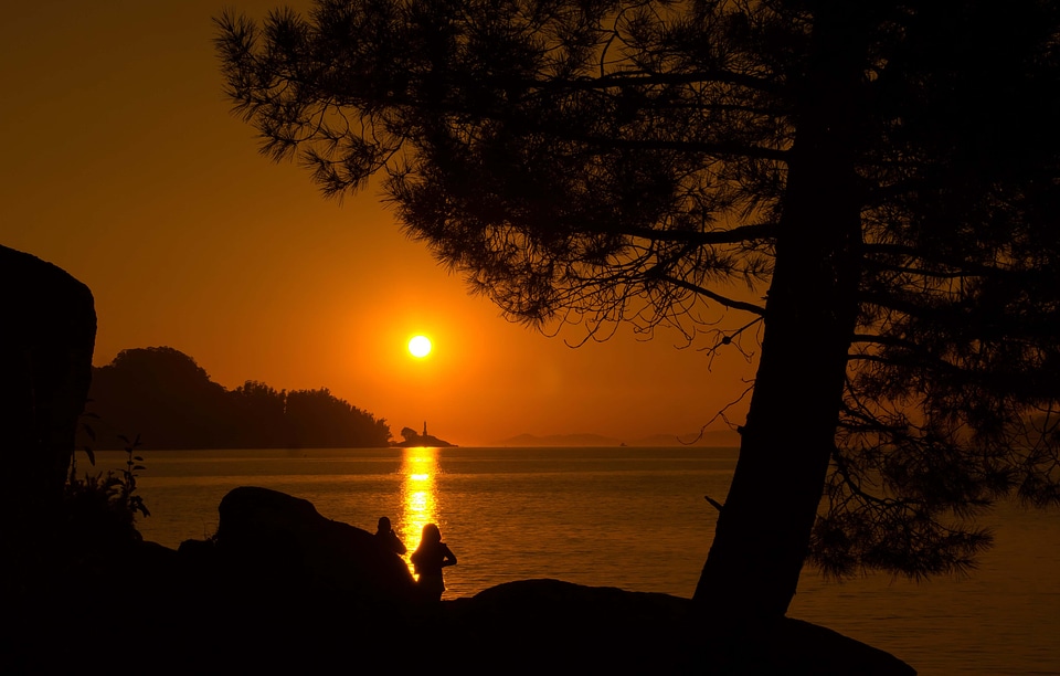 Backlight beach coast
