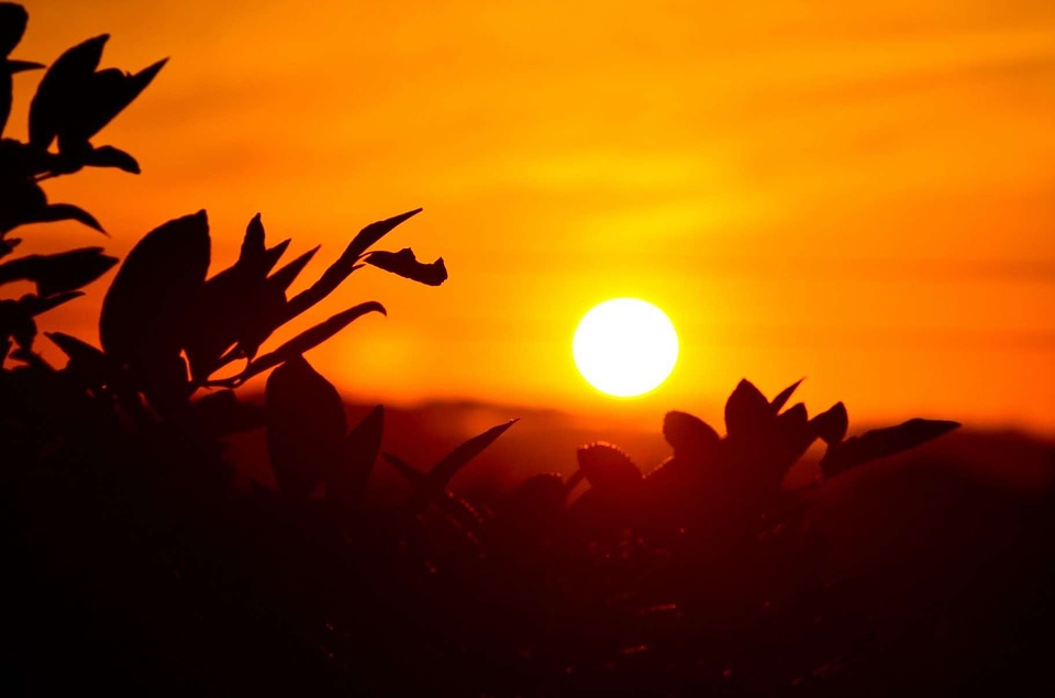 Backlight beautiful photo dark