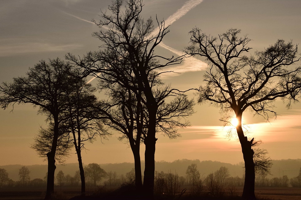 Backlight dawn dusk