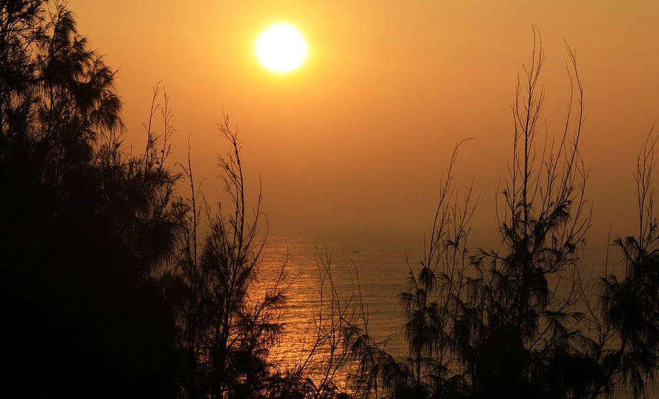 Backlight dark dawn