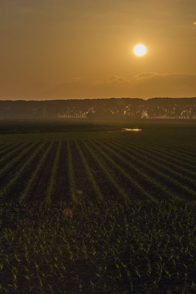 Agriculture backlight beach