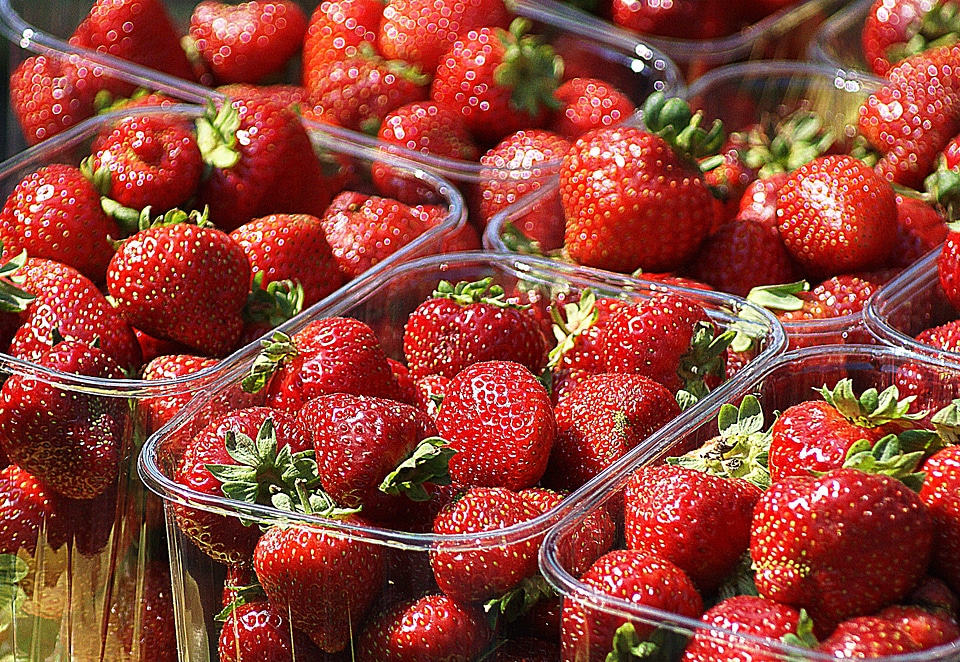 A collection of agriculture the cultivation of