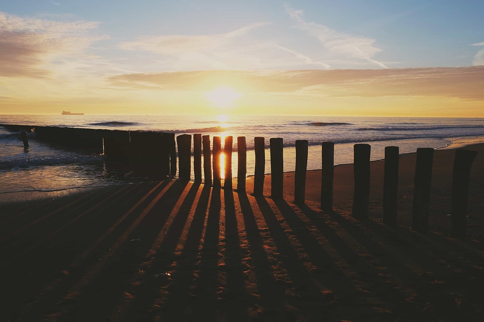 Backlight beach coast