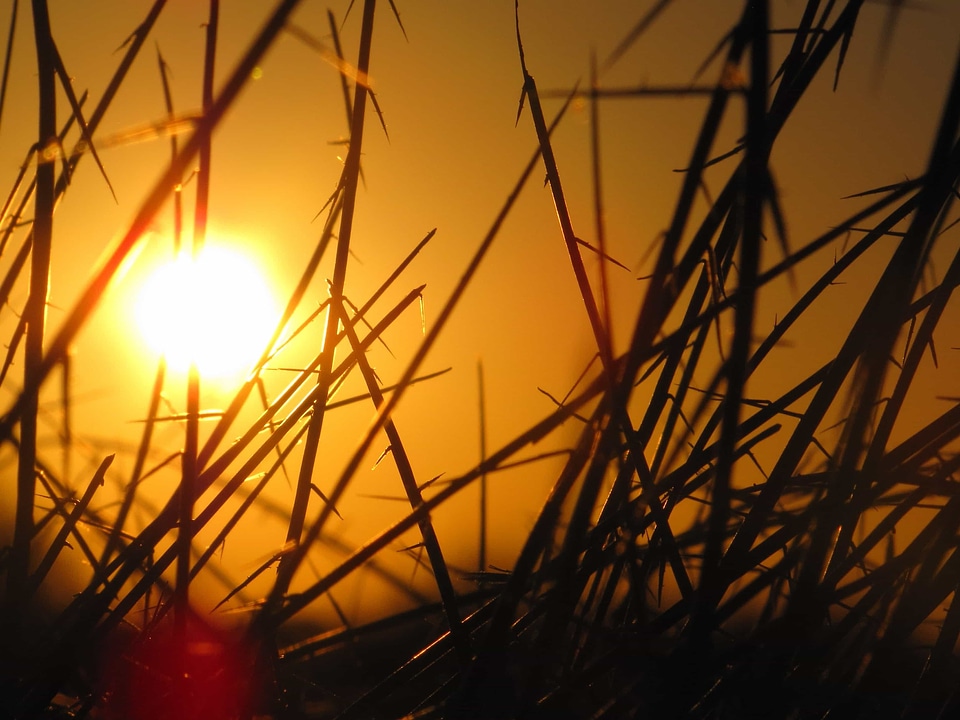 Backlight darkness dawn photo