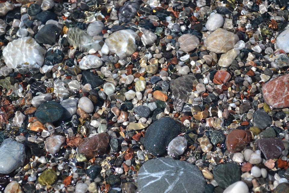 Water aquatic surface