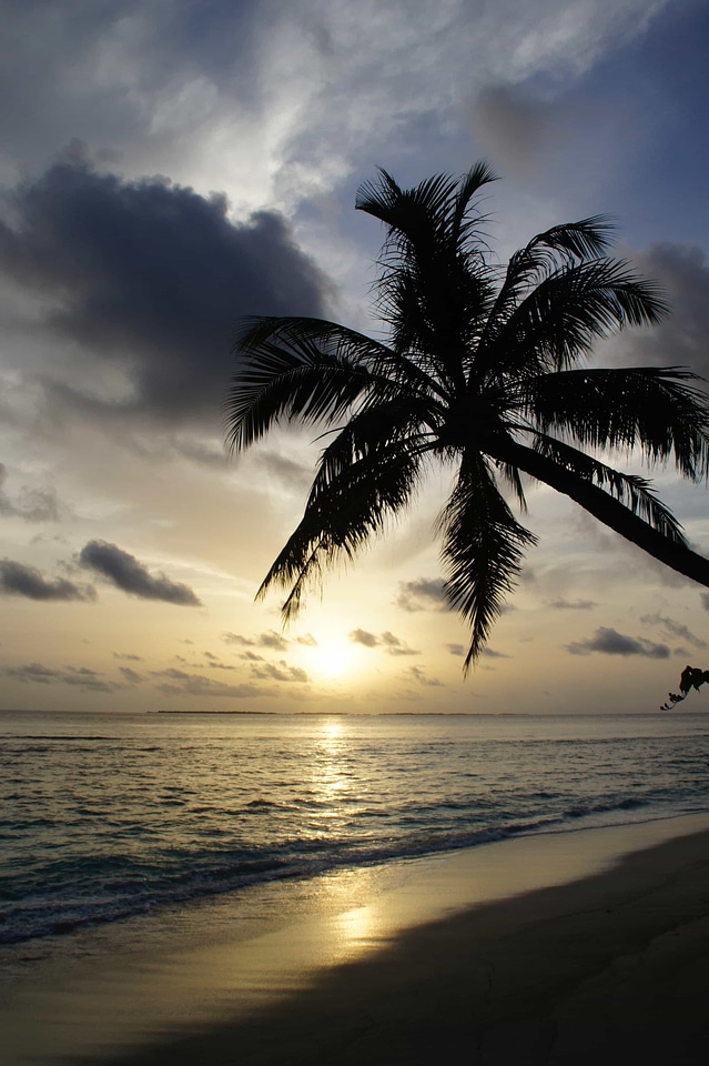 Backlight bay beach