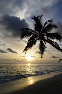 Backlight bay beach photo