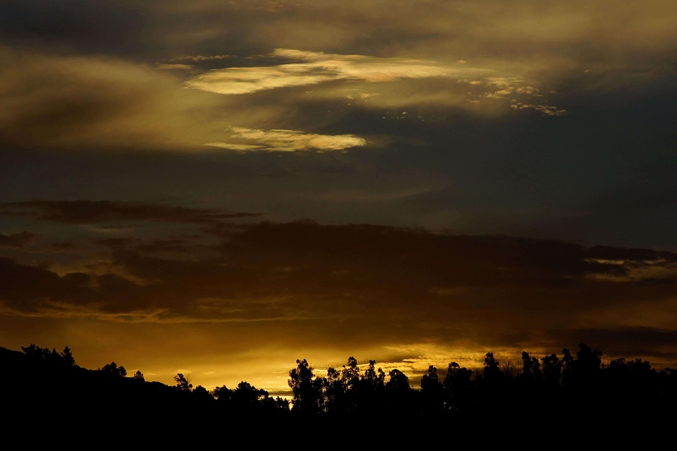 Backlight dawn dusk