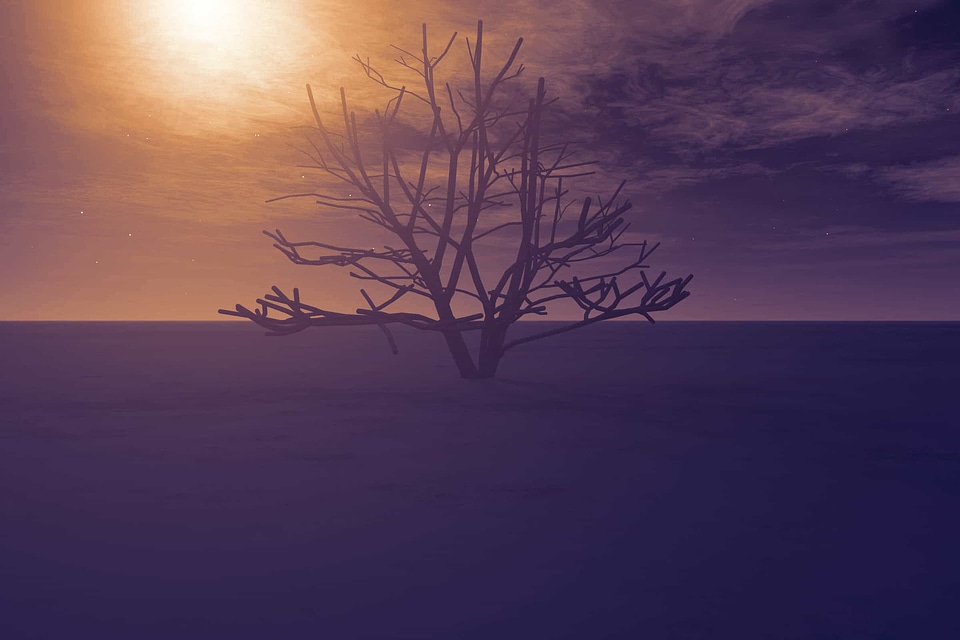 Backlight dark dawn