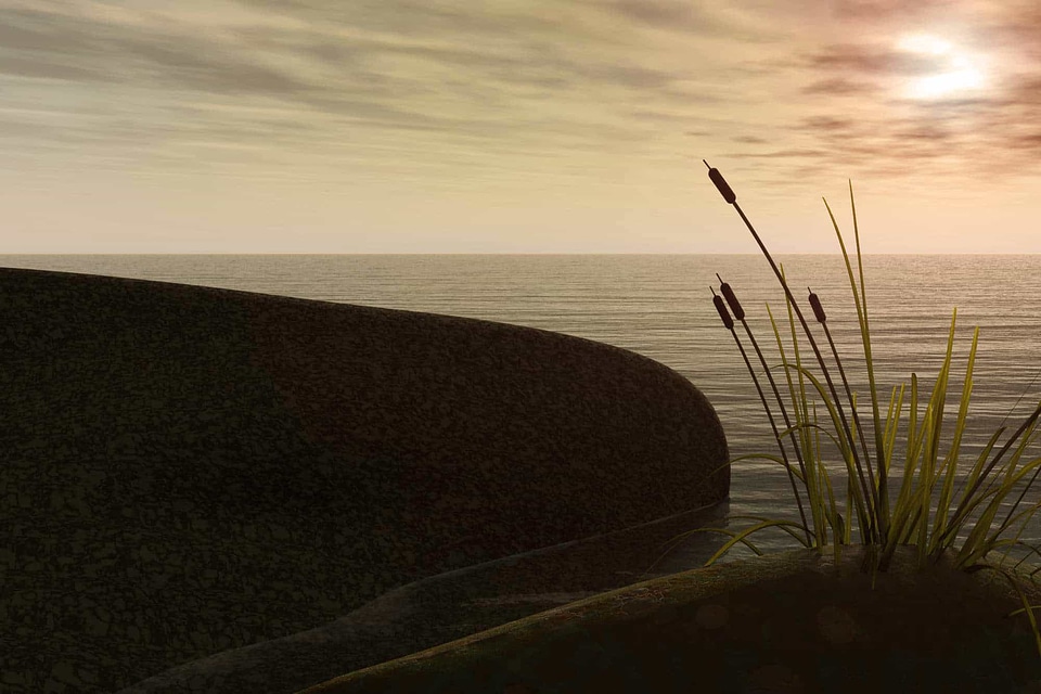 Beach coast coastline