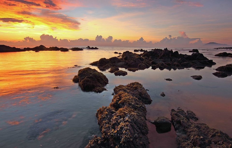 Backlight beach beautiful