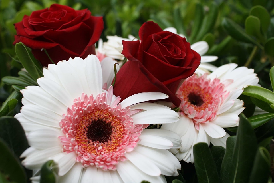 Arrangement beautiful flowers beautiful image