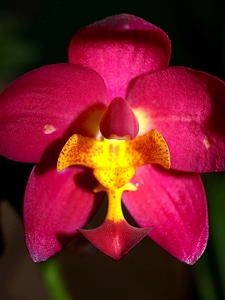 Beautiful beautiful flowers bloom