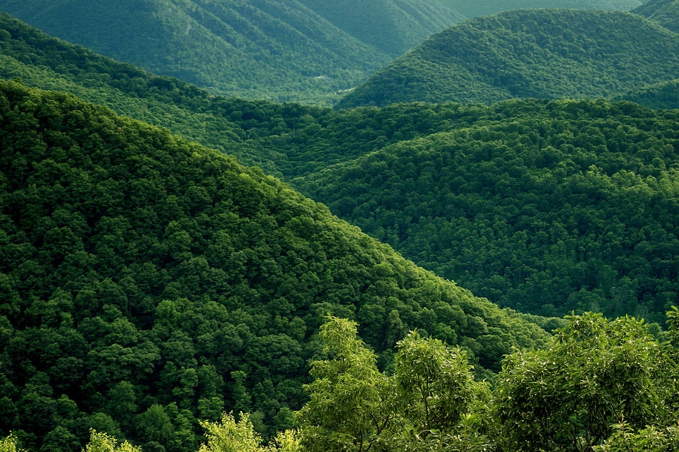 Agriculture branch climate