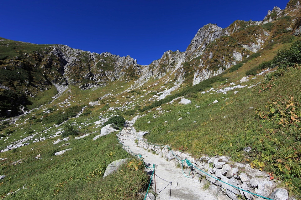 Blue Sky glacier grass