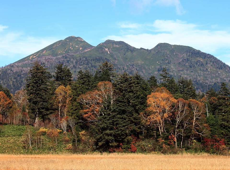 Autumn autumn season field