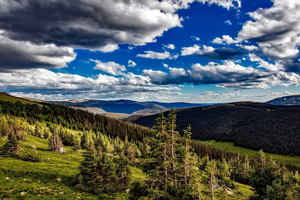 Branch climate ecology