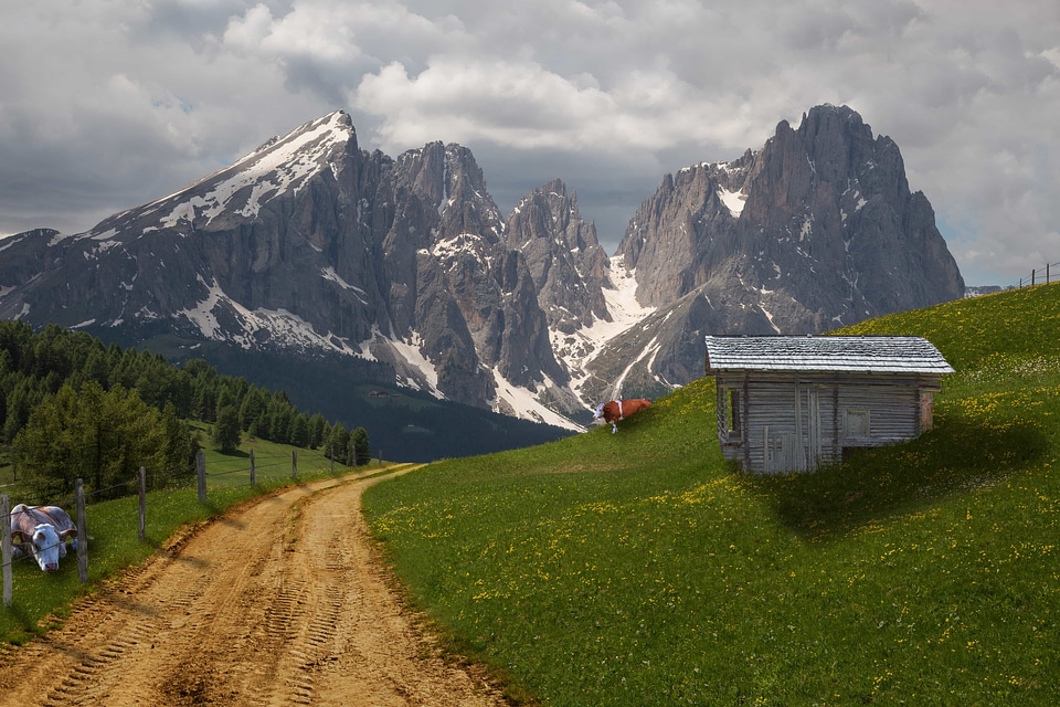 Beautiful Photo flora geology