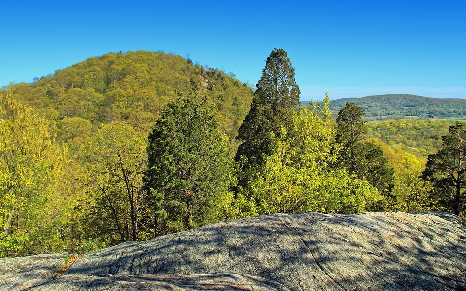 Branch climate countryside