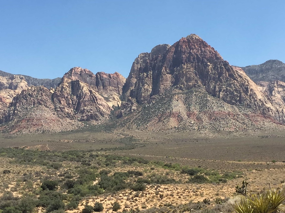 Cactus canyon cliff photo