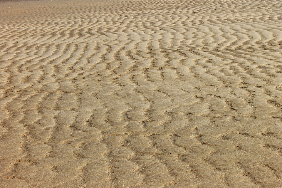 Nature ocean texture
