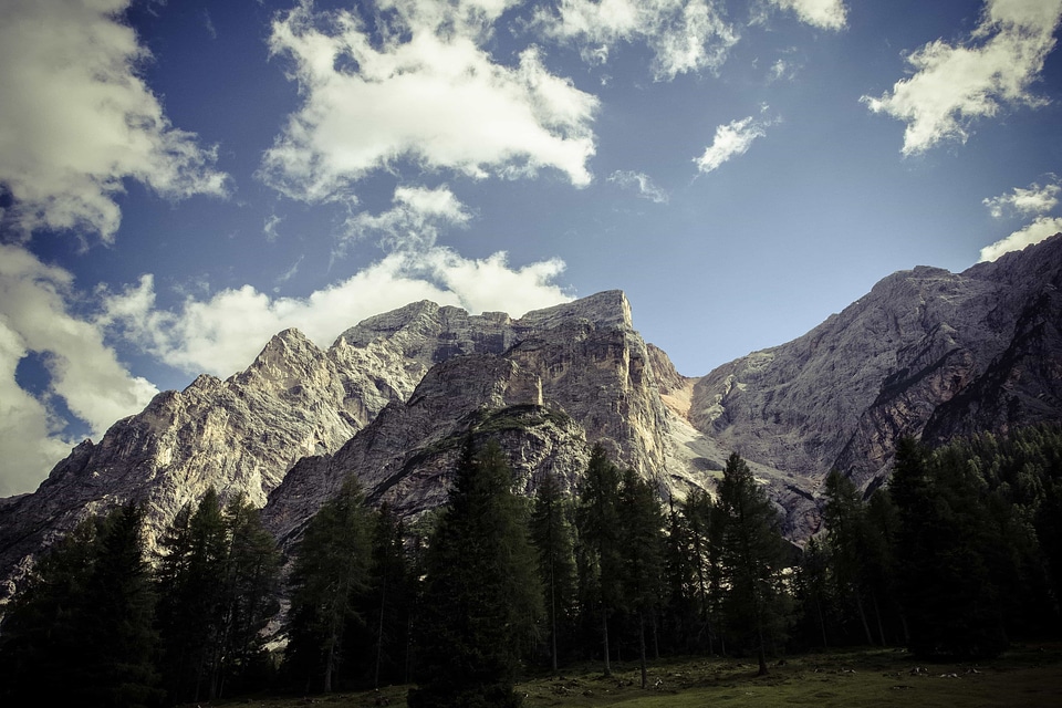 Cliff forest geology photo