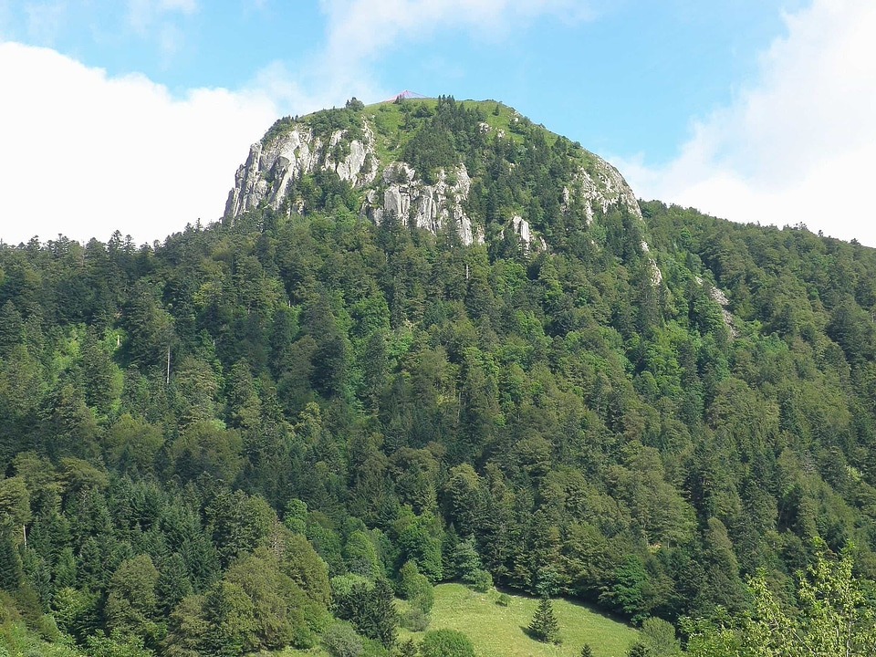 Cliff daylight forest