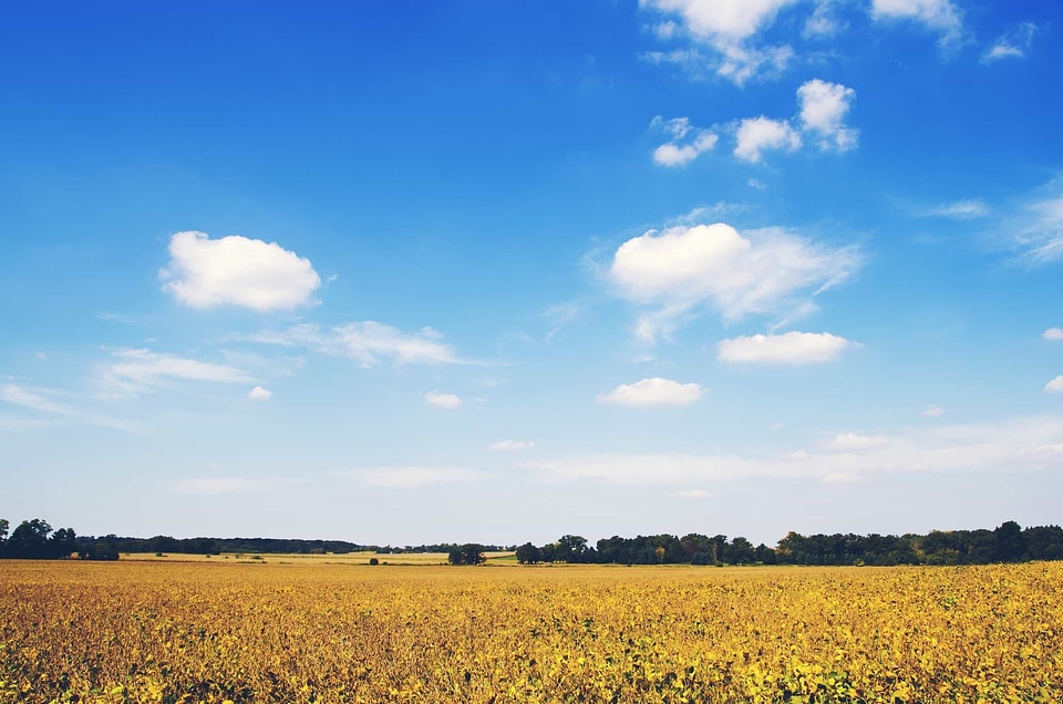 Agriculture blue sky cloud photo