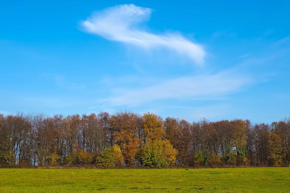 Autumn countryside dawn