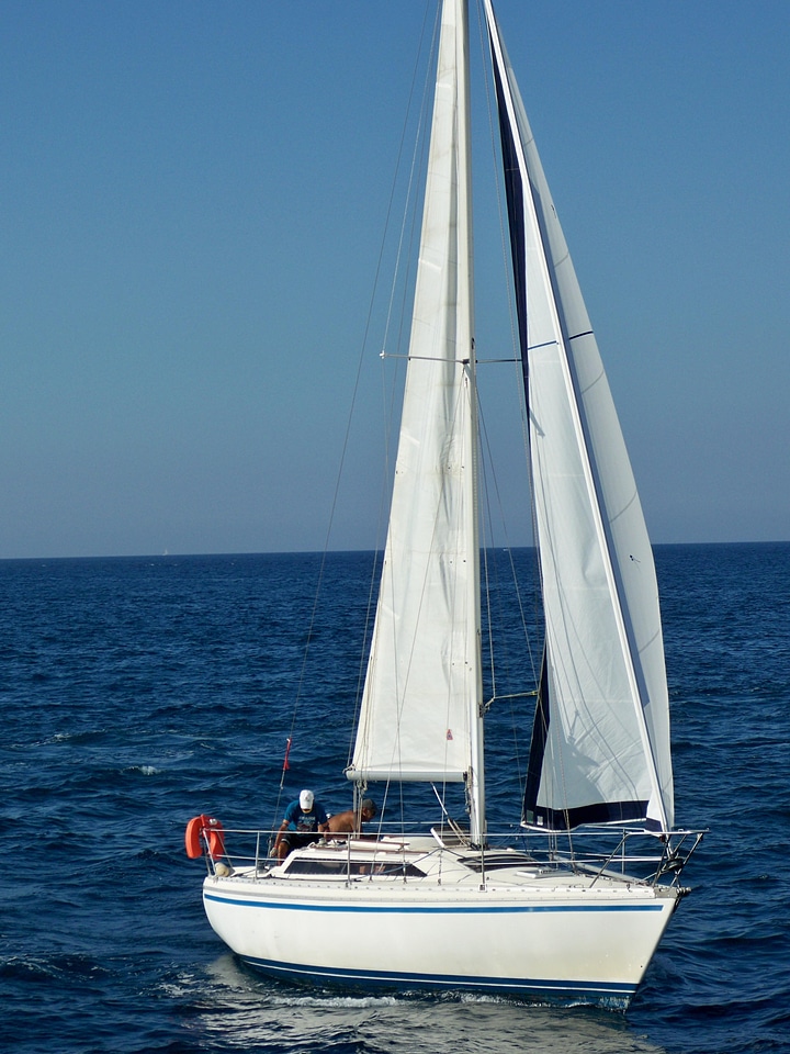 Boat boat race catamaran