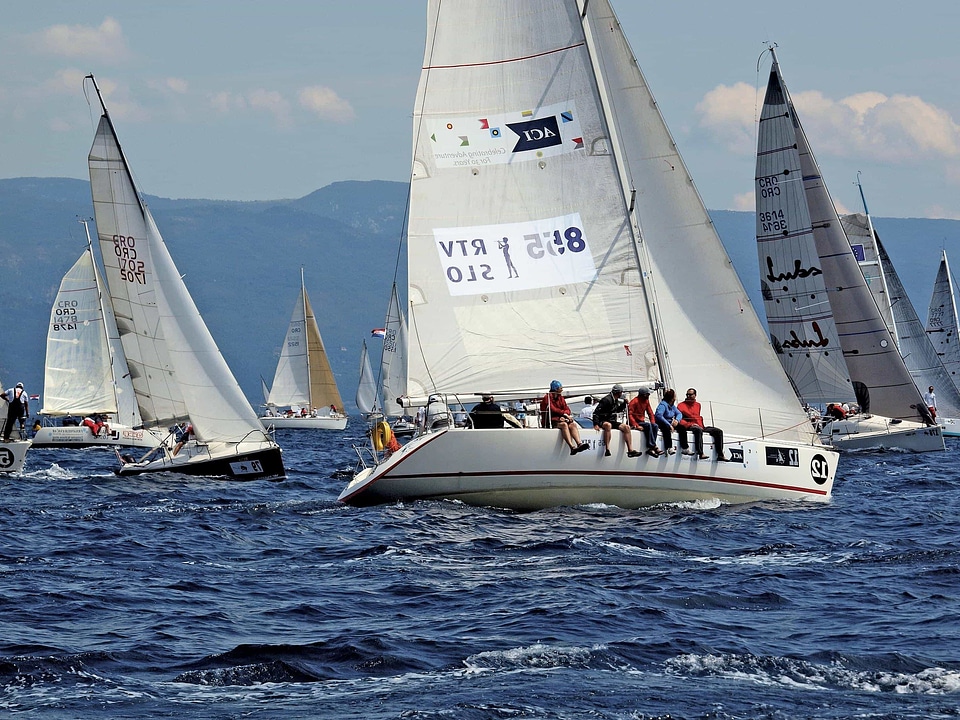 Boat boat race boats