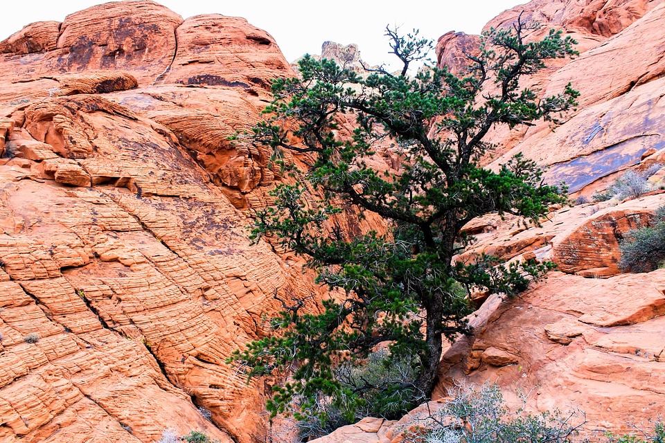 Area canyon desert