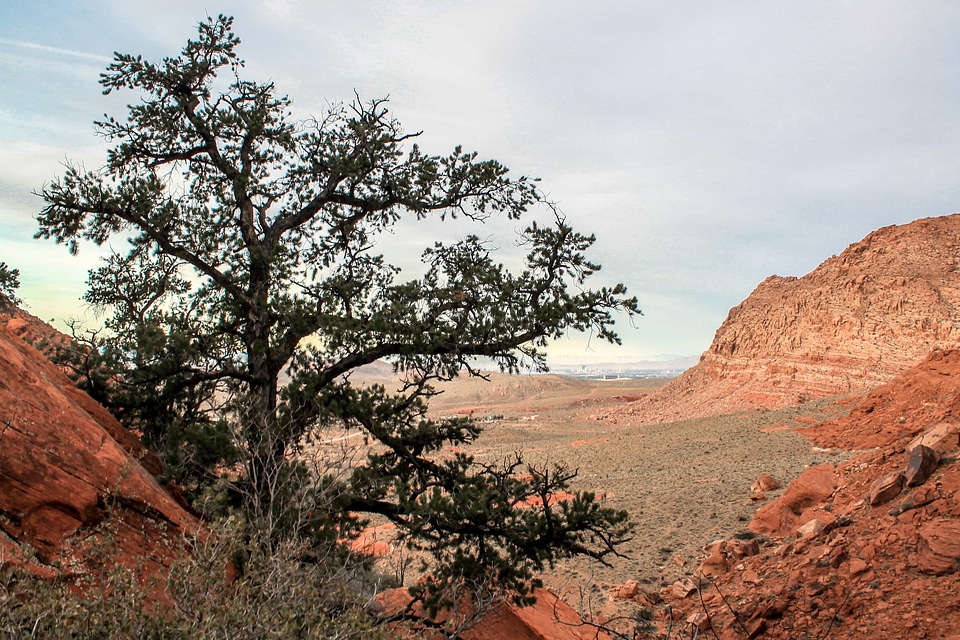 Area canyon desert photo