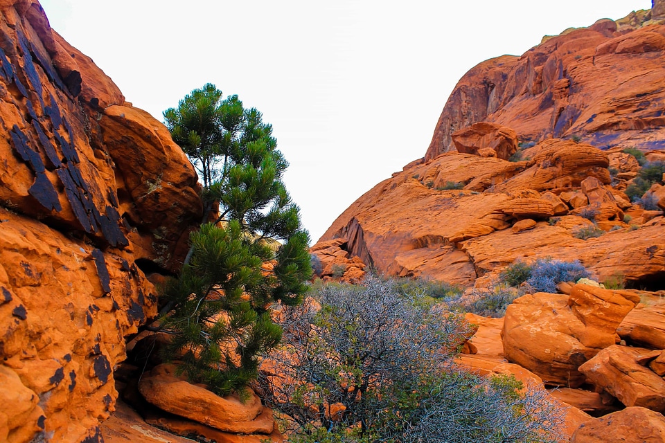 Area canyon cliff photo