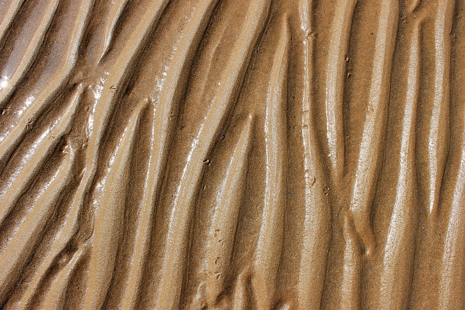 Nature ocean texture