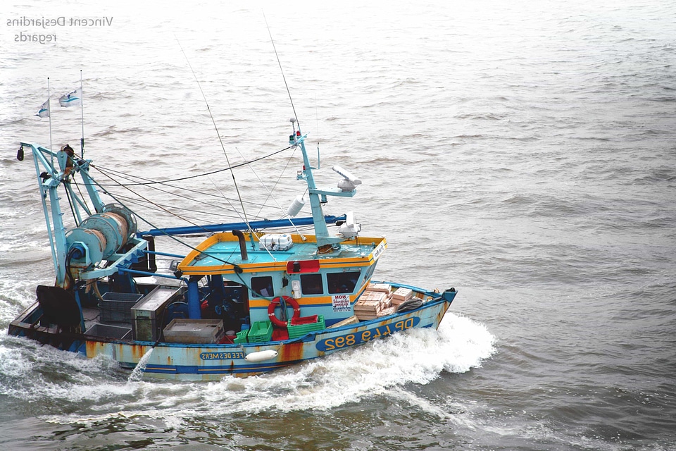 Boat cargo cargo ship