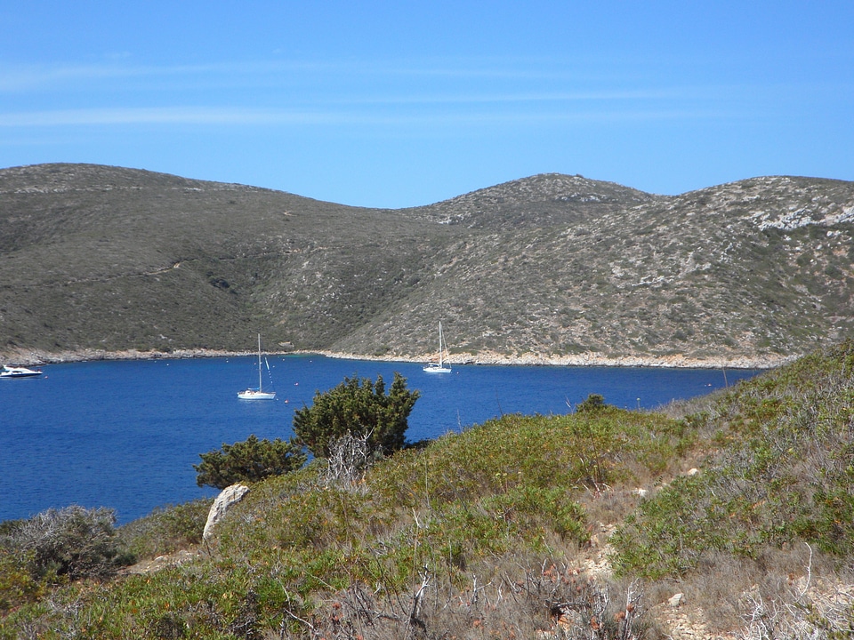 Coast landscape summer