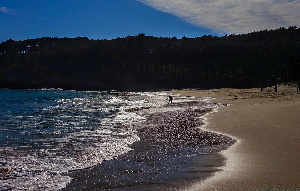 Beach coast coastline